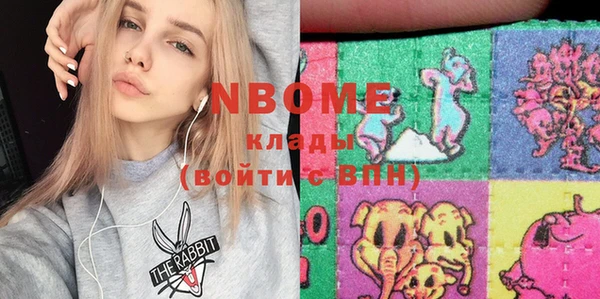 шишки Карпинск