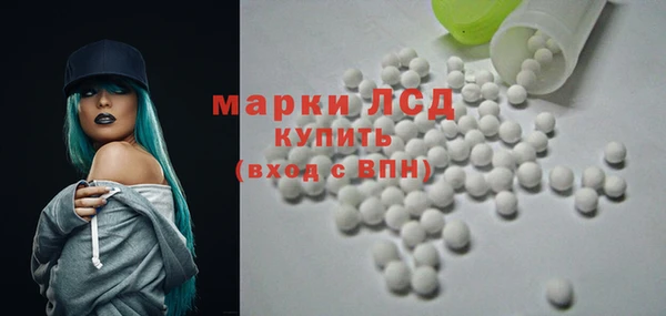 шишки Карпинск