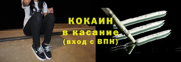 шишки Карпинск