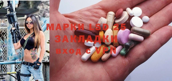 шишки Карпинск