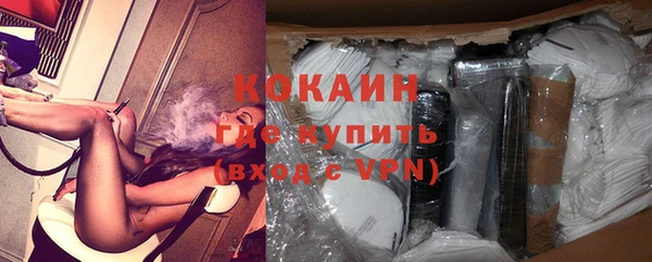 шишки Карпинск