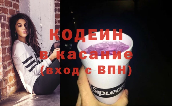 шишки Карпинск
